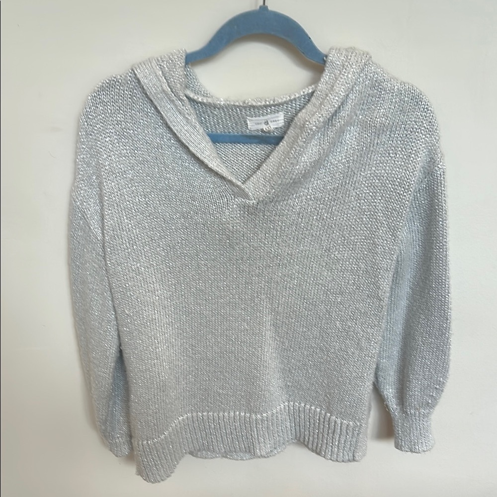 Lou & Grey Silver Sparkle V-Neck Hooded Sweater
